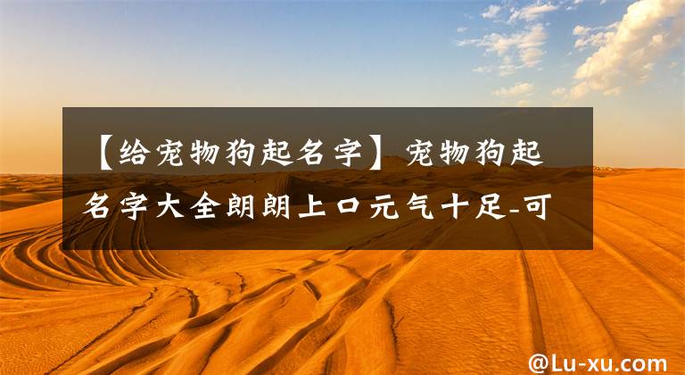 【給寵物狗起名字】寵物狗起名字大全朗朗上口元氣十足-可愛點