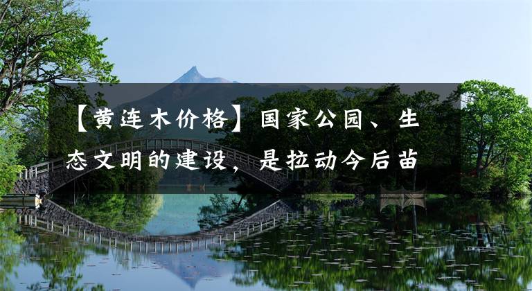 【黃連木價(jià)格】國家公園、生態(tài)文明的建設(shè)，是拉動(dòng)今后苗木市場(chǎng)的重要力量