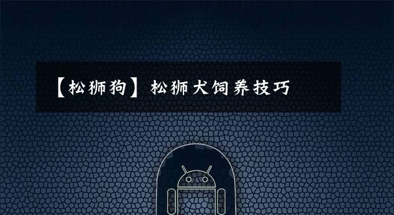 【松獅狗】松獅犬飼養(yǎng)技巧