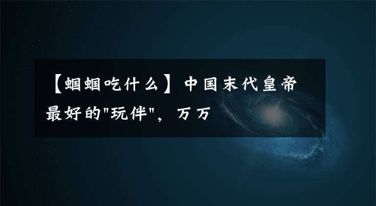 【蟈蟈吃什么】中國末代皇帝最好的"玩伴"，萬萬沒想到竟是一只小"蟈蟈"