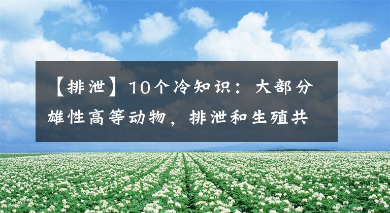 【排泄】10個(gè)冷知識(shí)：大部分雄性高等動(dòng)物，排泄和生殖共用一個(gè)器官