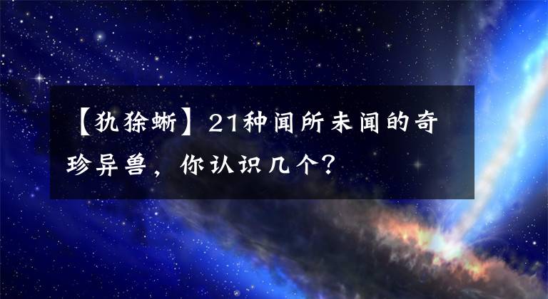 【犰狳蜥】21種聞所未聞的奇珍異獸，你認(rèn)識幾個？