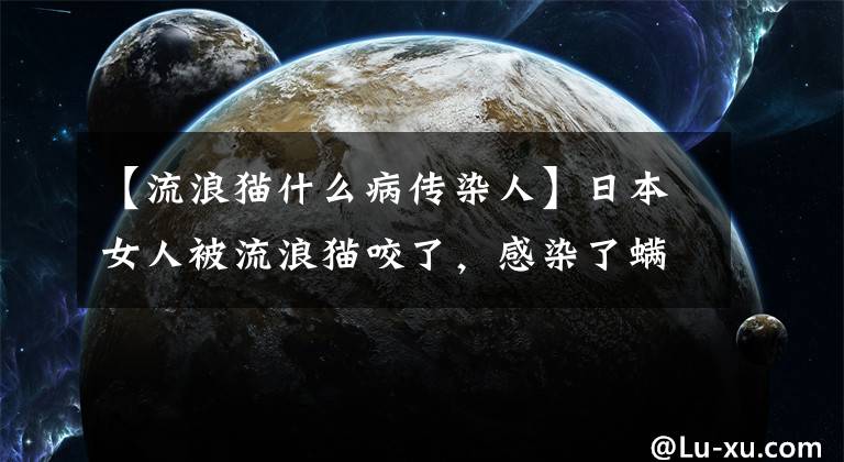 【流浪貓什么病傳染人】日本女人被流浪貓咬了，感染了螨病，死亡了