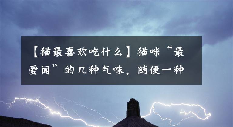 【貓最喜歡吃什么】貓咪“最愛(ài)聞”的幾種氣味，隨便一種，都讓它上癮