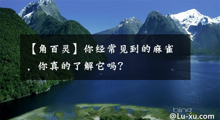 【角百靈】你經(jīng)常見到的麻雀，你真的了解它嗎？