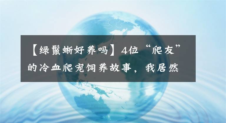 【綠鬣蜥好養(yǎng)嗎】4位“爬友”的冷血爬寵飼養(yǎng)故事，我居然有被暖到