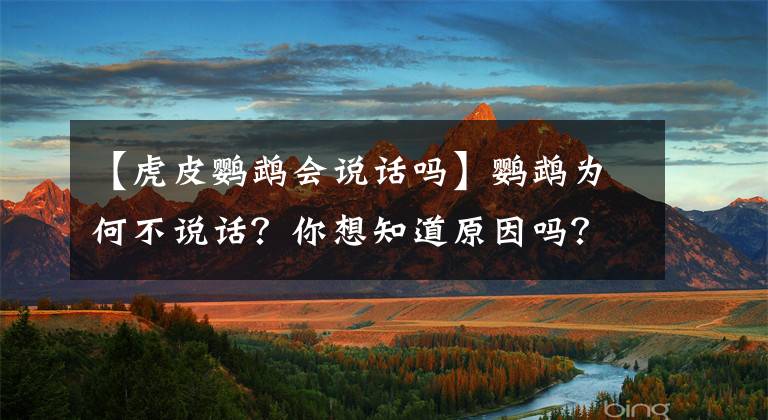 【虎皮鸚鵡會(huì)說話嗎】鸚鵡為何不說話？你想知道原因嗎？請(qǐng)讓我來告訴你