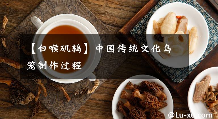 【白喉磯鶇】中國傳統(tǒng)文化鳥籠制作過程