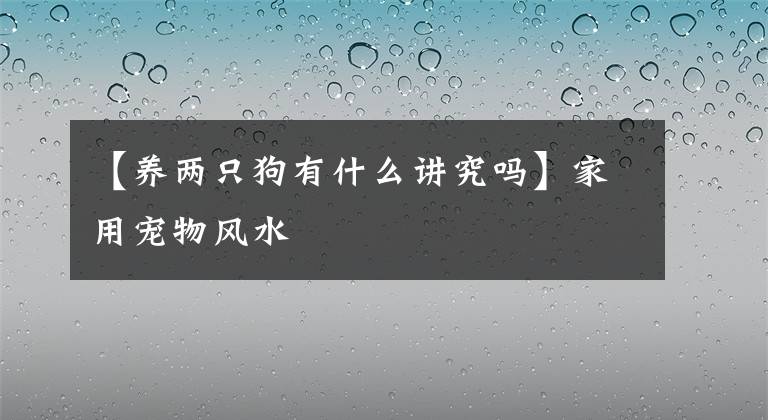 【養(yǎng)兩只狗有什么講究嗎】家用寵物風水