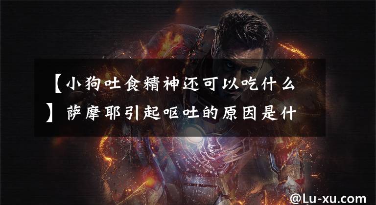 【小狗吐食精神還可以吃什么】薩摩耶引起嘔吐的原因是什么？