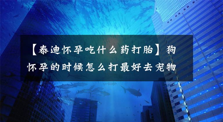 【泰迪懷孕吃什么藥打胎】狗懷孕的時候怎么打最好去寵物醫(yī)院處理。