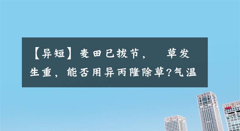 【異短】麥田已拔節(jié)，菵草發(fā)生重，能否用異丙隆除草?氣溫穩(wěn)定時(shí)適合用