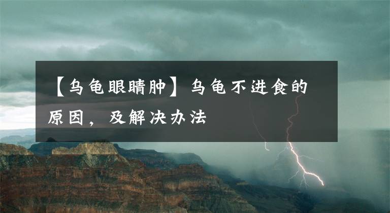 【烏龜眼睛腫】烏龜不進(jìn)食的原因，及解決辦法