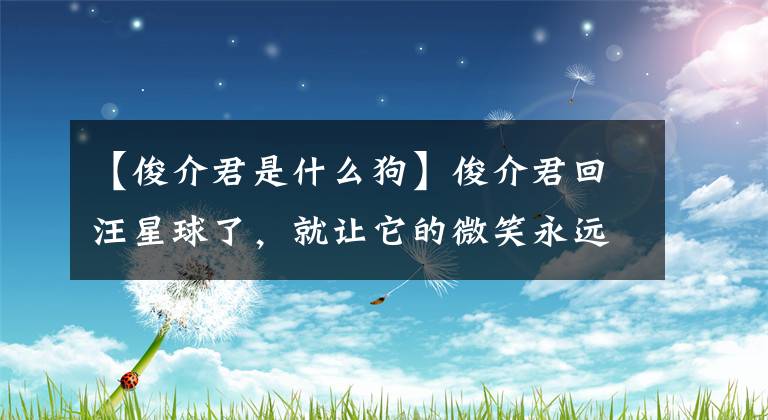 【俊介君是什么狗】俊介君回汪星球了，就讓它的微笑永遠陪伴大家