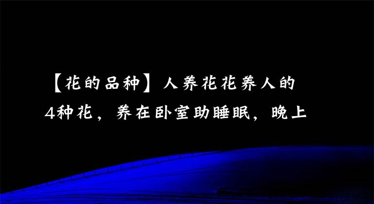 【花的品種】人養(yǎng)花花養(yǎng)人的4種花，養(yǎng)在臥室助睡眠，晚上睡得香