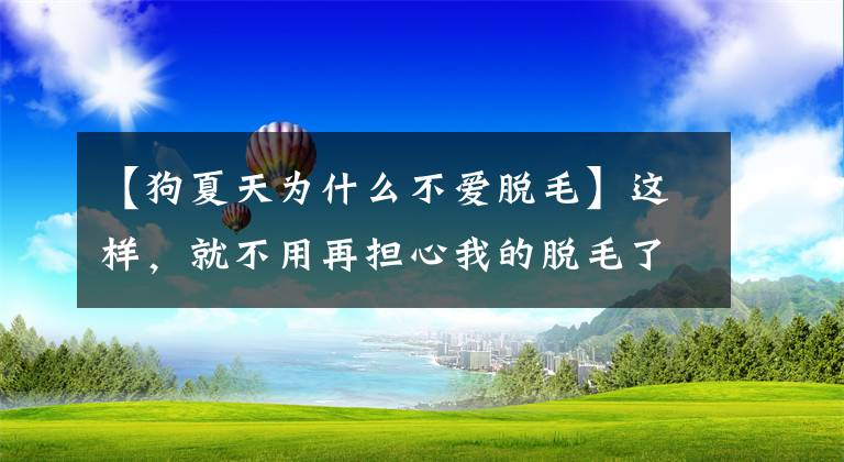 【狗夏天為什么不愛脫毛】這樣，就不用再擔(dān)心我的脫毛了。