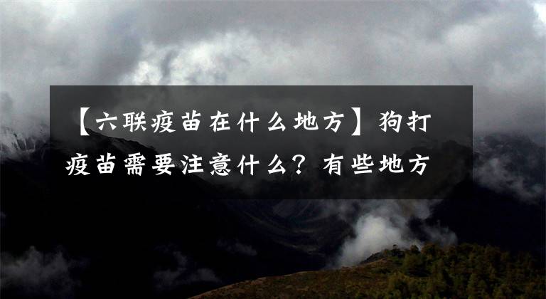 【六聯(lián)疫苗在什么地方】狗打疫苗需要注意什么？有些地方可以免費(fèi)得到疫苗！