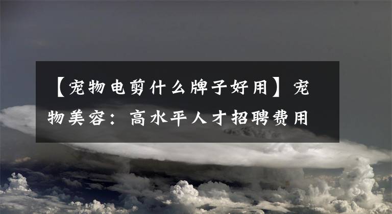 【寵物電剪什么牌子好用】寵物美容：高水平人才招聘費用增加了一倍