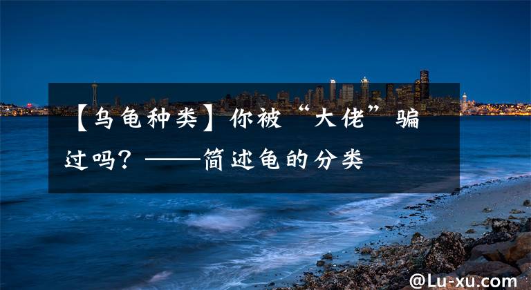 【烏龜種類】你被“大佬”騙過嗎？——簡(jiǎn)述龜?shù)姆诸?></a></div> <div   id=