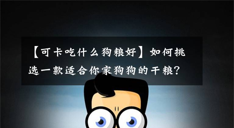 【可卡吃什么狗糧好】如何挑選一款適合你家狗狗的干糧？