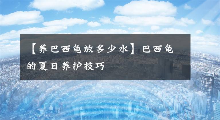 【養(yǎng)巴西龜放多少水】巴西龜?shù)南娜震B(yǎng)護(hù)技巧