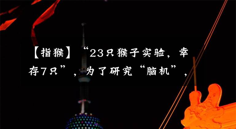 【指猴】“23只猴子實(shí)驗(yàn)，幸存7只”，為了研究“腦機(jī)”，馬斯克旗下公司被指虐猴