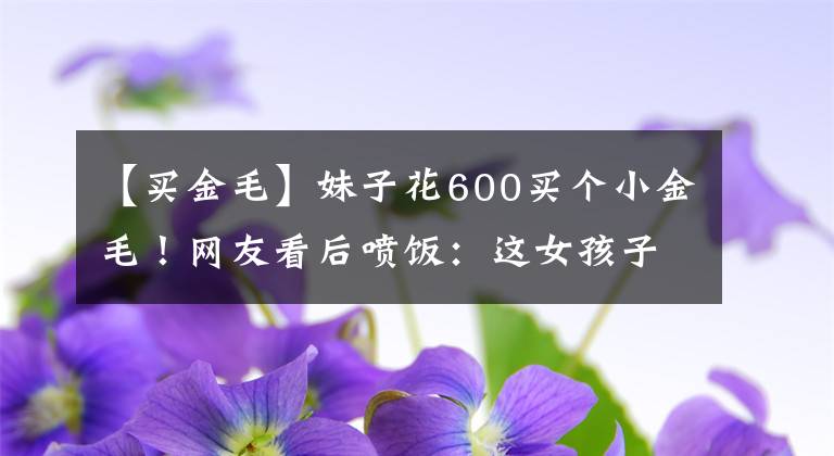 【買金毛】妹子花600買個(gè)小金毛！網(wǎng)友看后噴飯：這女孩子真單純啊