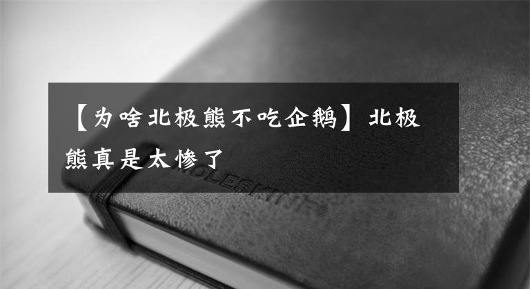 【為啥北極熊不吃企鵝】北極熊真是太慘了