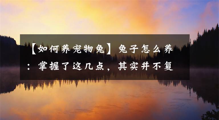 【如何養(yǎng)寵物兔】兔子怎么養(yǎng)：掌握了這幾點，其實并不復雜