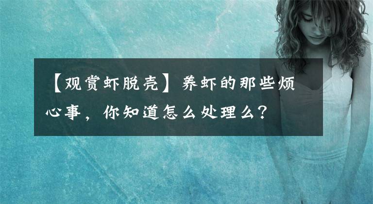 【觀賞蝦脫殼】養(yǎng)蝦的那些煩心事，你知道怎么處理么？