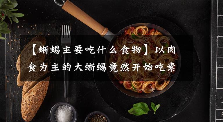 【蜥蜴主要吃什么食物】以肉食為主的大蜥蜴竟然開(kāi)始吃素，難道他們也會(huì)養(yǎng)生嗎？