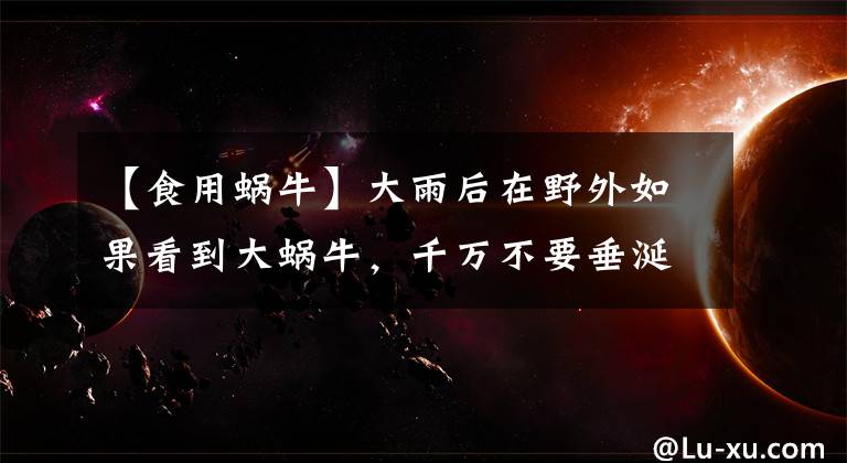 【食用蝸牛】大雨后在野外如果看到大蝸牛，千萬不要垂涎欲滴，連碰都別碰