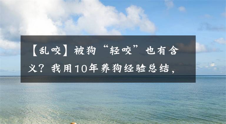 【亂咬】被狗“輕咬”也有含義？我用10年養(yǎng)狗經(jīng)驗(yàn)總結(jié)，它在警告你