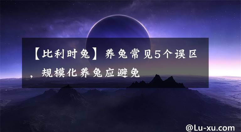 【比利時(shí)兔】養(yǎng)兔常見(jiàn)5個(gè)誤區(qū)，規(guī)?；B(yǎng)兔應(yīng)避免