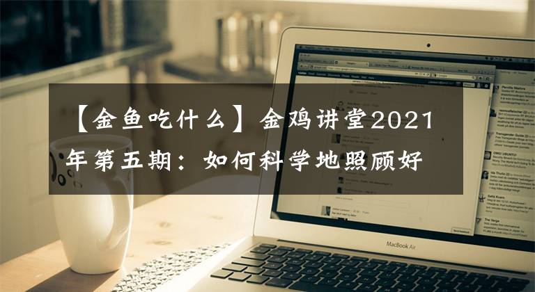 【金魚吃什么】金雞講堂2021年第五期：如何科學(xué)地照顧好家中的金魚朋友？