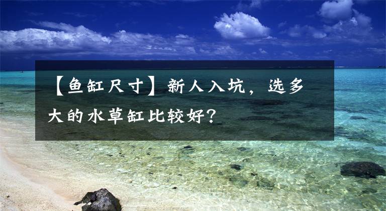 【魚缸尺寸】新人入坑，選多大的水草缸比較好？