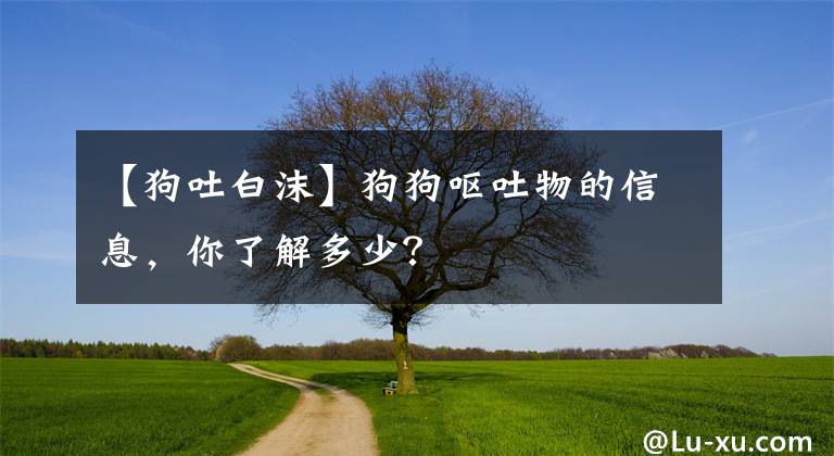 【狗吐白沫】狗狗嘔吐物的信息，你了解多少？