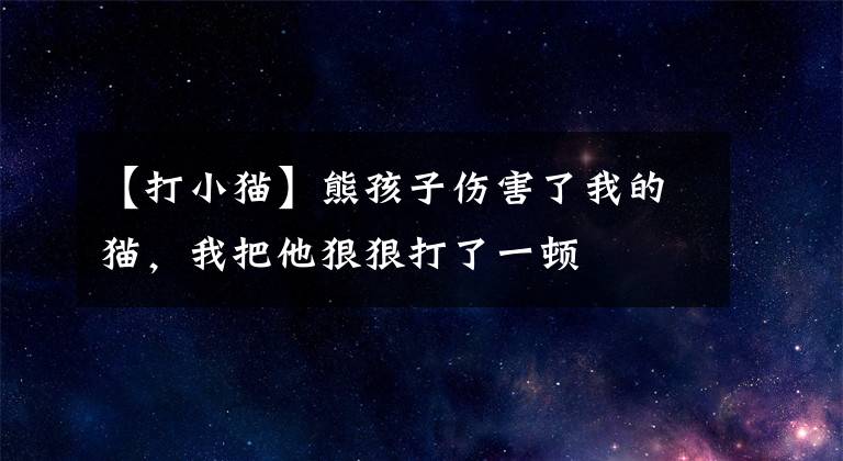 【打小貓】熊孩子傷害了我的貓，我把他狠狠打了一頓