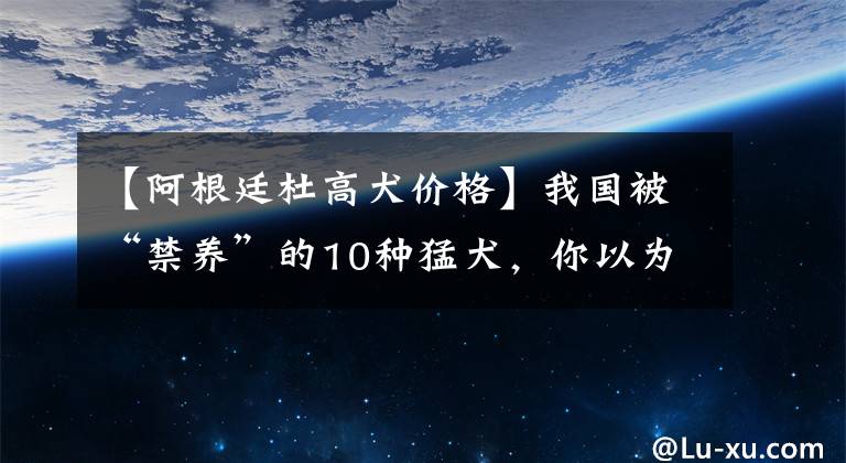 【阿根廷杜高犬價格】我國被“禁養(yǎng)”的10種猛犬，你以為藏獒的戰(zhàn)斗力真的很弱嗎？