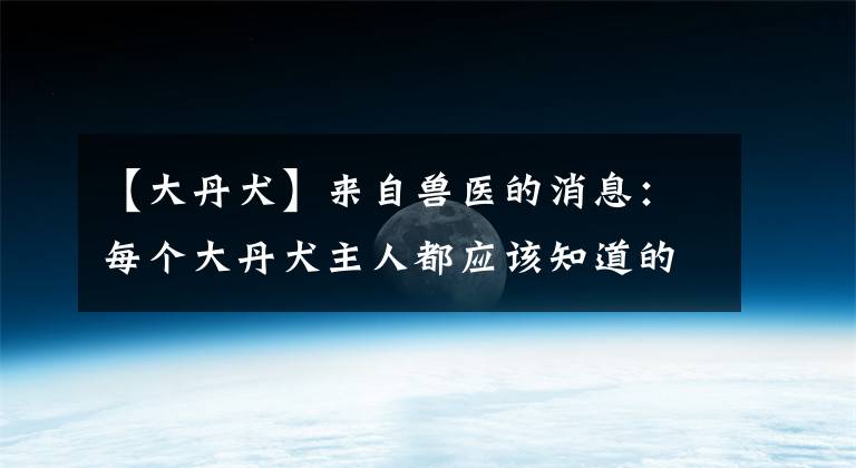 【大丹犬】來自獸醫(yī)的消息：每個大丹犬主人都應(yīng)該知道的3件事