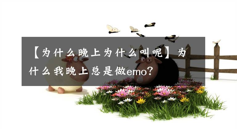 【為什么晚上為什么叫呢】為什么我晚上總是做emo？