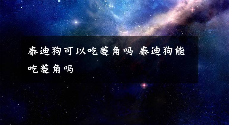 泰迪狗可以吃菱角嗎 泰迪狗能吃菱角嗎