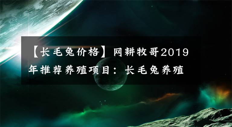 【長(zhǎng)毛兔價(jià)格】網(wǎng)耕牧哥2019年推薦養(yǎng)殖項(xiàng)目：長(zhǎng)毛兔養(yǎng)殖分析