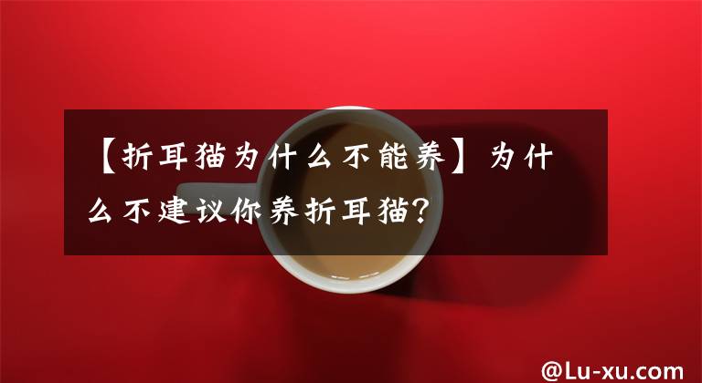 【折耳貓為什么不能養(yǎng)】為什么不建議你養(yǎng)折耳貓？