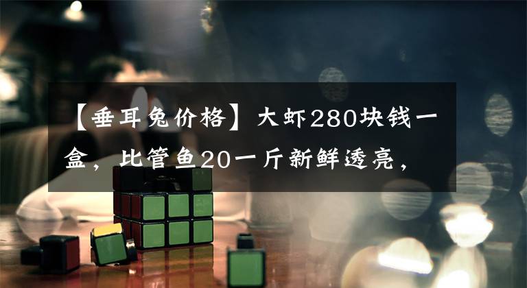 【垂耳兔價(jià)格】大蝦280塊錢一盒，比管魚20一斤新鮮透亮，青島春的味道愈發(fā)愈濃