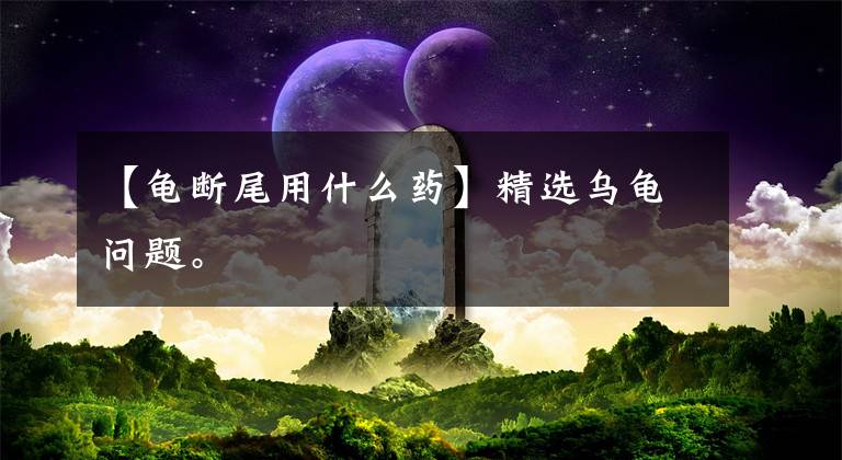 【龜斷尾用什么藥】精選烏龜問(wèn)題。