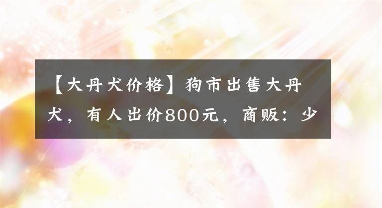 【大丹犬價格】狗市出售大丹犬，有人出價800元，商販：少了1000不用談！