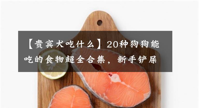 【貴賓犬吃什么】20種狗狗能吃的食物超全合集，新手鏟屎官必備