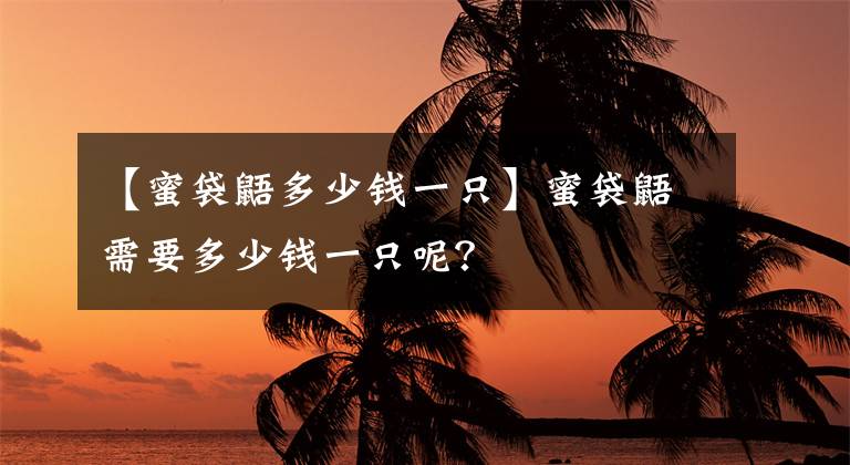 【蜜袋鼯多少錢一只】蜜袋鼯需要多少錢一只呢？