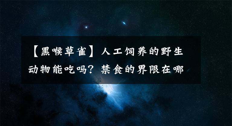 【黑喉草雀】人工飼養(yǎng)的野生動(dòng)物能吃嗎？禁食的界限在哪？